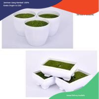 Pot plastik persegi, pot plastik, pot tanaman, pot tanaman kotak, pot tanaman persegi, pot tanaman p