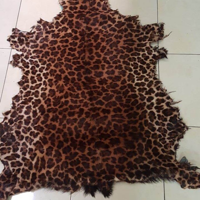 Kulit Kambing Lembaran motif Macan, Leopard, macan tutul, zebra dll - tutul kecil