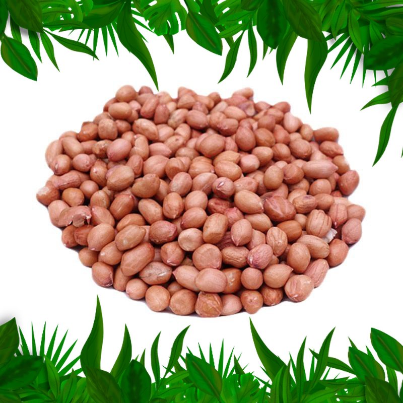 

sayur Fresh Nusantara - Kacang Tanah Murah