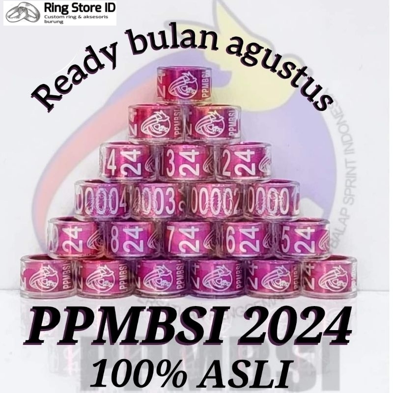 RING PPMBSI PUSAT 2024 ASLI RING JATIM 2024 MERPATI