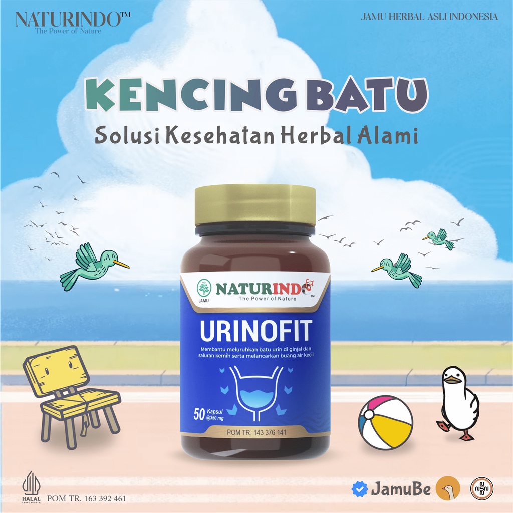 

Obat Infeksi Saluran Kencing Obat Herbal Infeksi Saluran Kemih URINOFIT NATURINDO