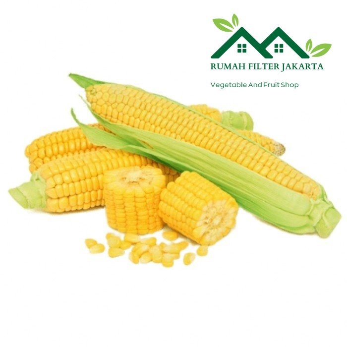 

Jagung Manis Besar