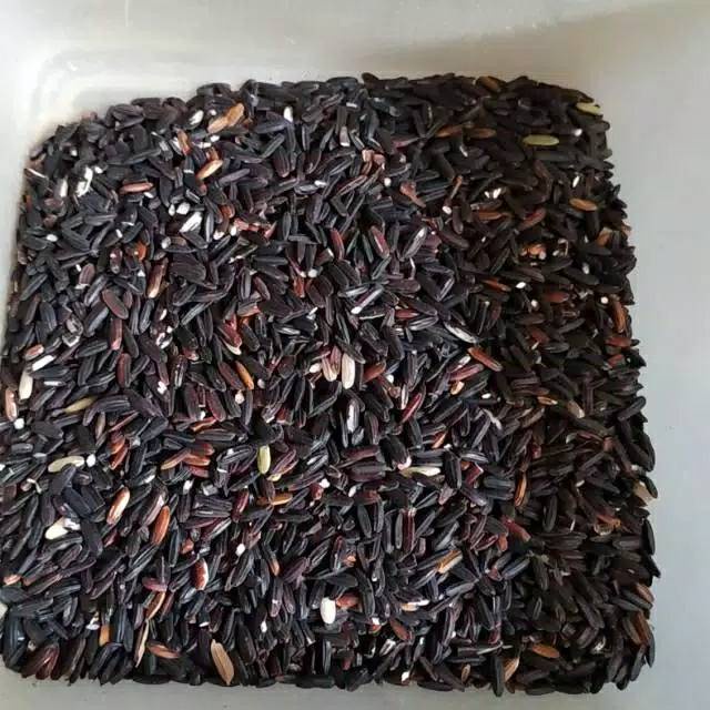 JUAL KETAN HITAM 500 GRAM 1 KG BIJI CAMPURAN PAKAN BURUNG DERKUKU PERKUTUT PUTER PELUNG AYAM BEBEK
