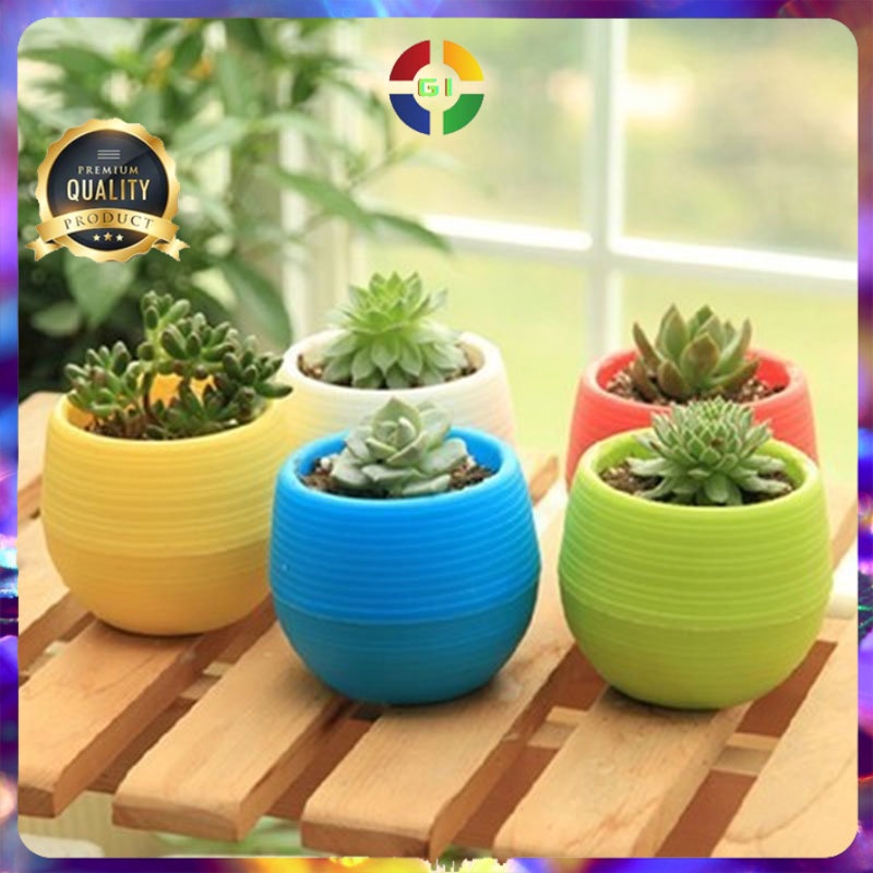 Mini Pot Bunga Hias Kaktus Tanaman Multi-Color