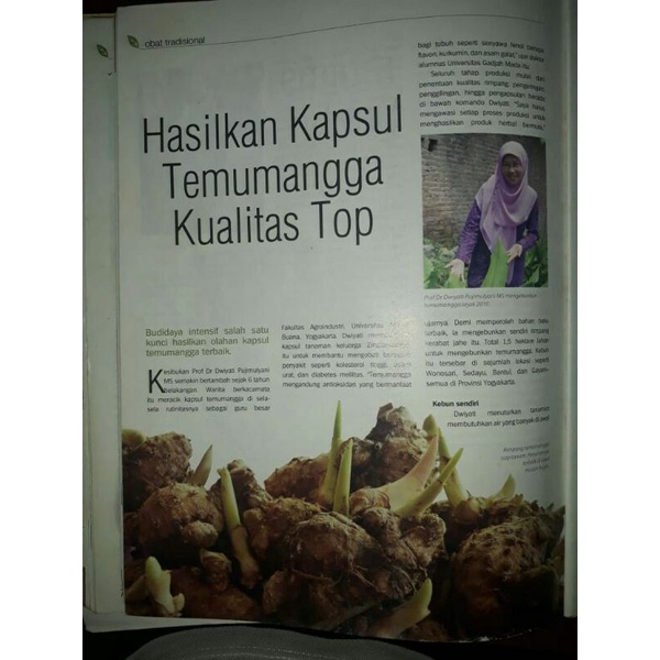 Citra Gardens Windra Mekar Kapsul Kunir Putih Curcuval Dp Prof Dwiyati - Isi 60 Kapsul
