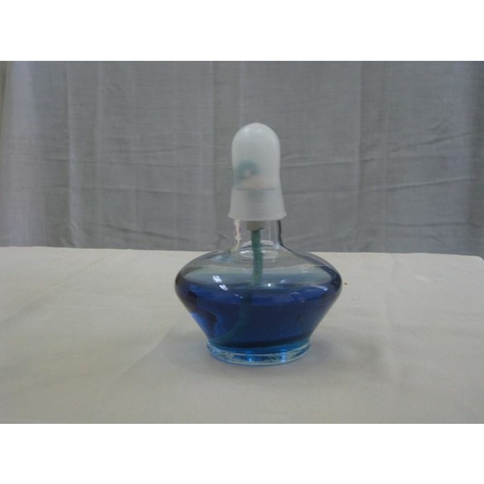 Bunsen / Lampu Spirtus Spiritus 250 cc / Alat Laboratorium Kimia