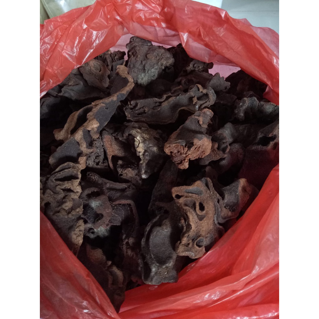 

Bubuk Sarang Semut 1 Kg Organik Tanaman Herbal Nusantara Free Stiker PIRT Random