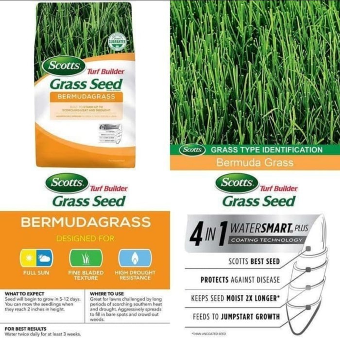 PROMO benih rumput bermuda 40kg - biji rumput bermuda - bibit rumput