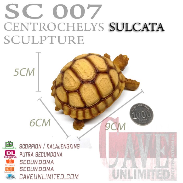 Replika patung pajangan tortoise Astrochelys Yniphora kura kura darat - SULCATA