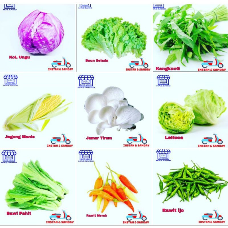 

INSTAN Sayur Mayur Random