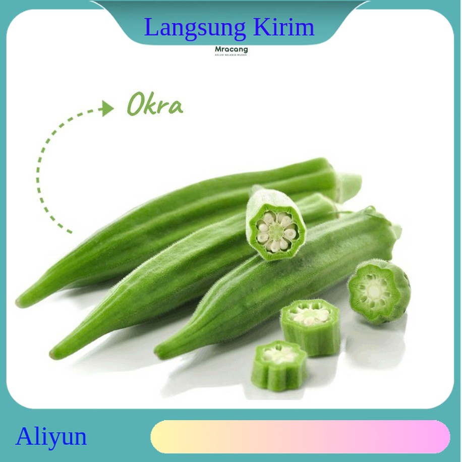 

Okra Sayur 250gram Fresh Sayur Mayur Makanan Minuman Sehat