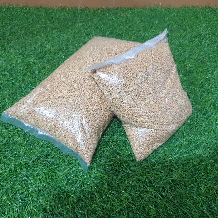 Milet Putih Kiloan 500gr dan 1kg Millet pakan Lovebird