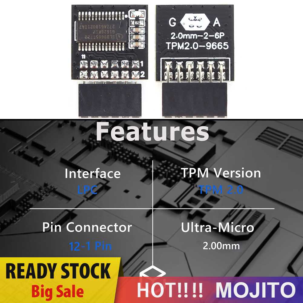 Tpm 2.0-9665 Modul Keamanan Enkripsi Kartu Motherboard 12Pin Untuk Gigabyte