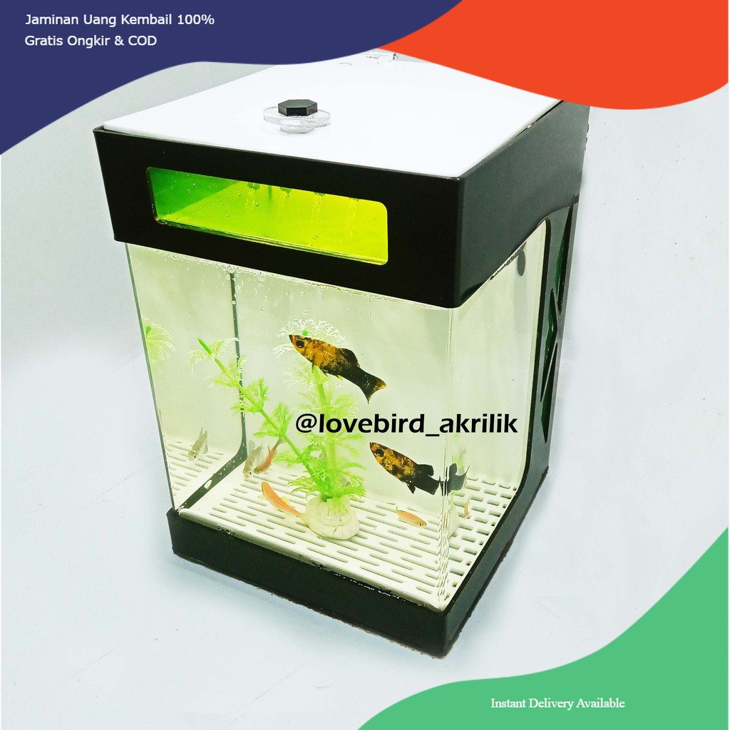 Aquarium Akrilik, Aquarium Mini, Aquarium Cupang, Aquarium Acrylic, Mini Aquarium, Acrylic aquarium