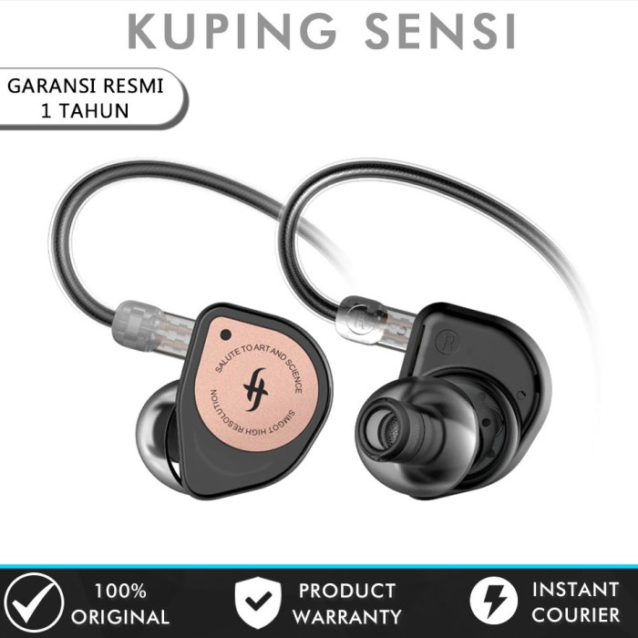 SIMGOT EW100P 10MM Dual-LCP Earphone alt Salnotes Zero Tangzu Waner