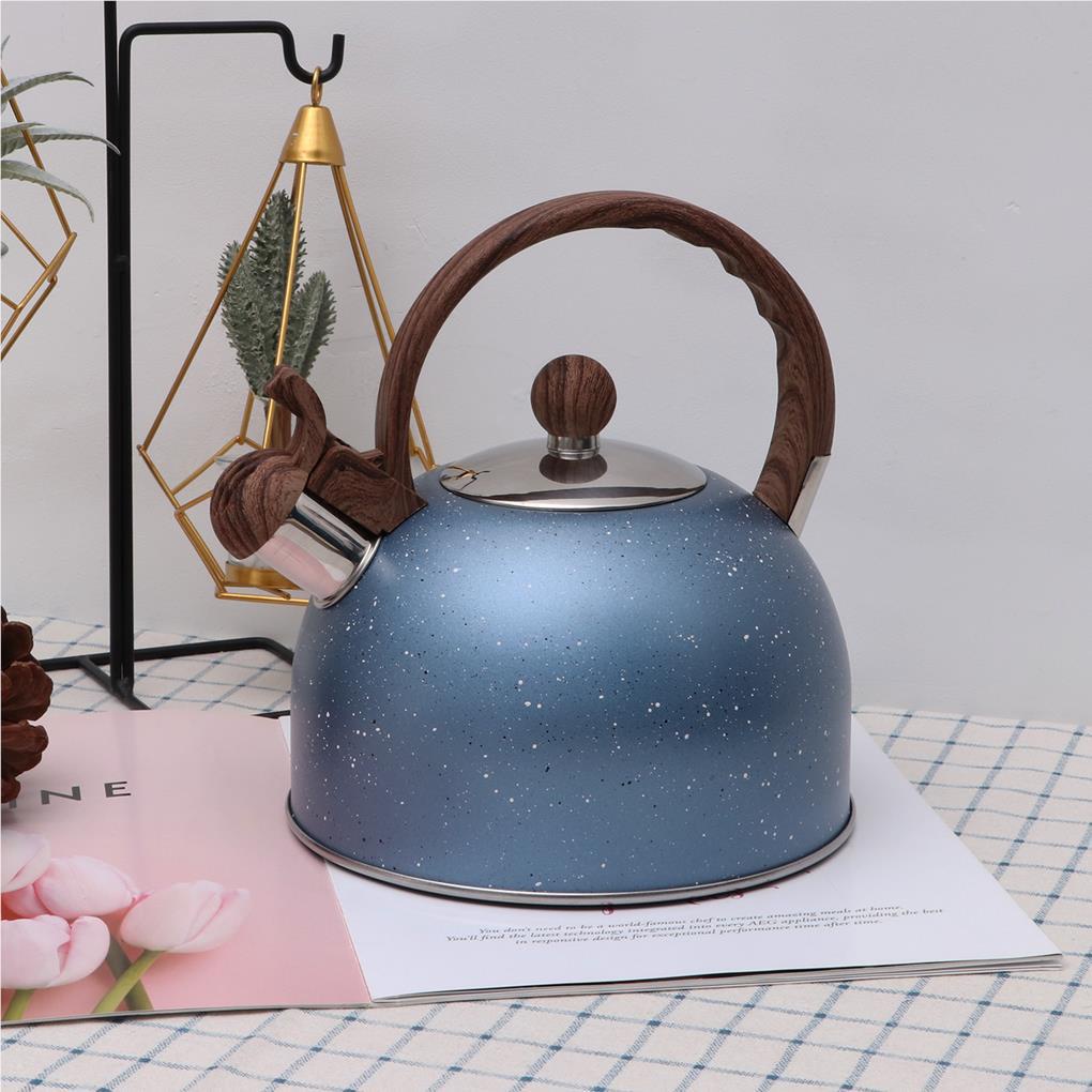 Tea Kettle Teko Air Dapur Gadget Stove-top Cookware Wadah Rebus Siul Otomatis2 5L Perlengkapan Rumah