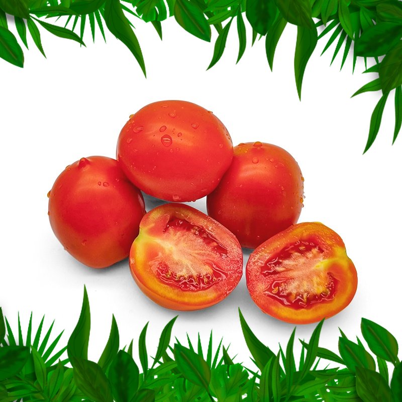 

Sayur Fresh Nusantara - Tomat Merah 500 gr