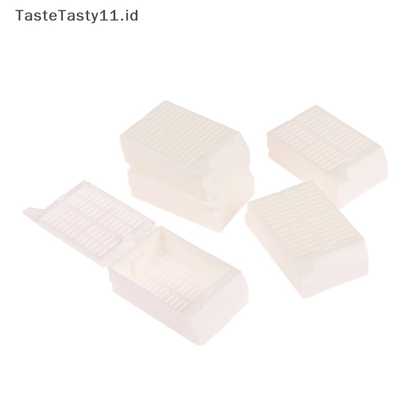 -motifaste Simboasty 5pcs/set -motifab alfinaterial kampasissue alisyaartridge -motifmbedding erkaplice ̽ox erkapeepen dan erkaphicken stapelhite oksidasi alfinox issue stapelassette stapeleep12mm .