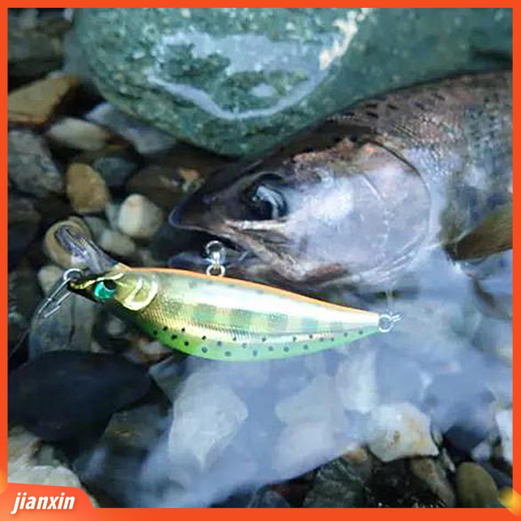 (In Stock) 50mm /5.2g Umpan Pancing Realistis 3D Simulasi Fisheye Tajam Kait Warna Terang Lempar Panjang Memancing Universal Ikan Kecil Tenggelam Umpan Tenggelam Untuk Outdoor