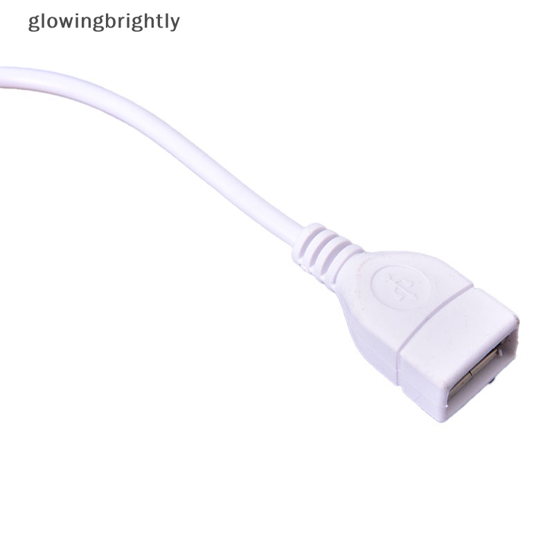 [glowingbrightly] Kabel USB 28cm Dengan Switch ON/OFF Cable Extension Toggle Untuk Lampu USB Kipas USB TFX