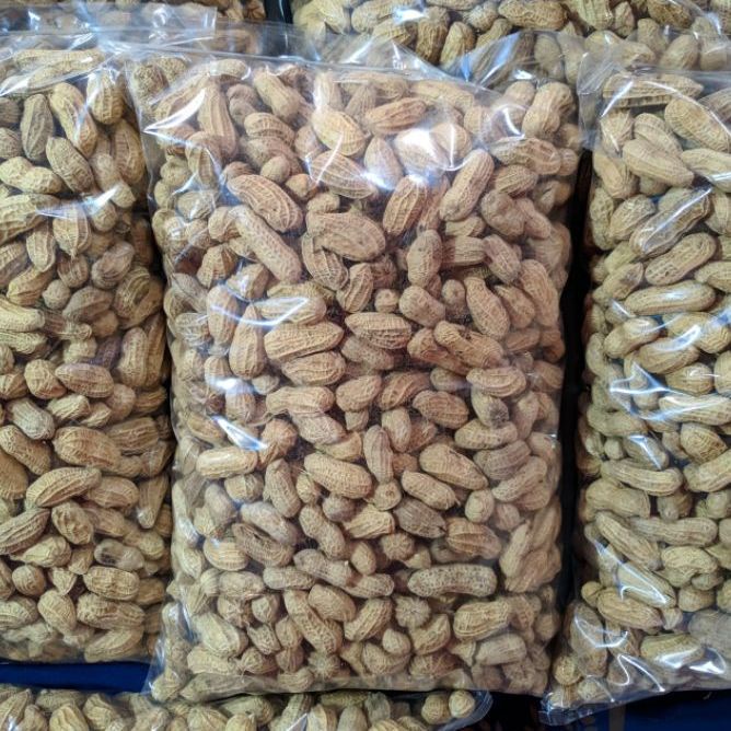 

Kacang Kulit Sangrai Madura 250gr Kacang Kulit Sangrai Asin Kiloan - KOESMART