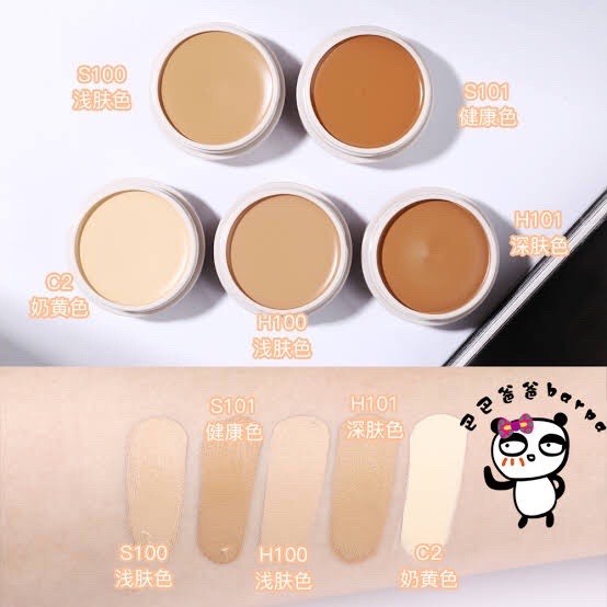 Shiseido Spot Cover Foundation