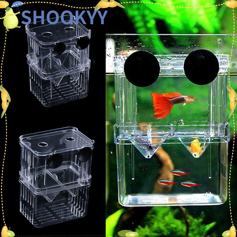 Chookyy Kotak Pembibitan Ikan Sekat Akrilik Yang Bermanfaat Double-Deck Hatching Case Isolasi Aquarium