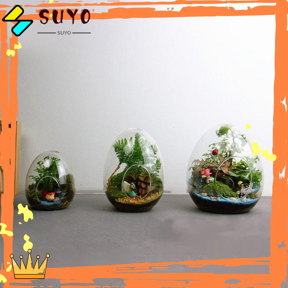 Suyo Botol Kaca Terrarium Kreatif Hidroponik Micro Landscape Glass