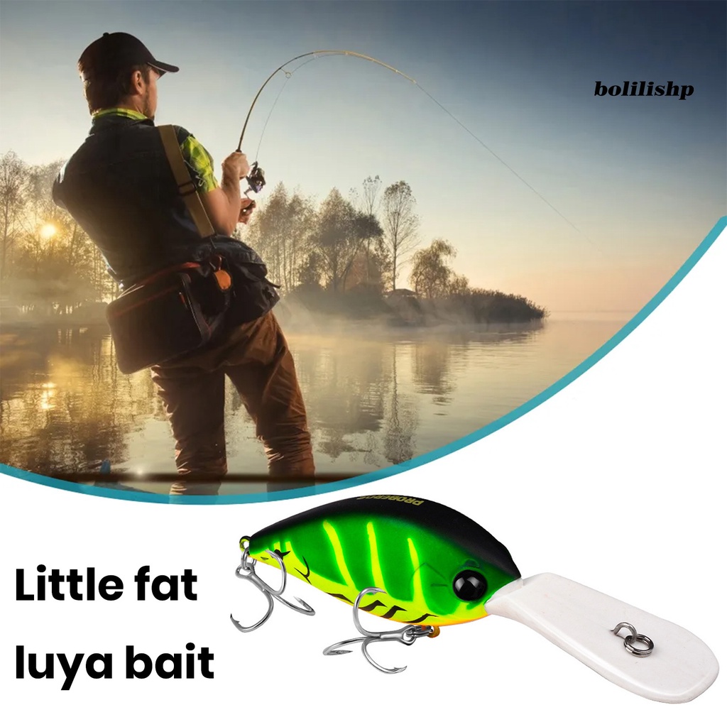 Bo-12.5cm/24.5g Umpan Palsu 3D Simulasi Fisheye Tajam Kait Realistis Menggoda Angling Gendut Mengambang Batu Umpan Memancing Luar Ruangan