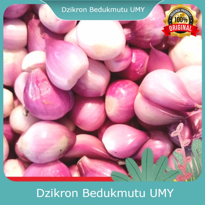 

NMA - Jual Bawang Merah Kupas/Bawang Merah Brebes Super Terbaik 1KG