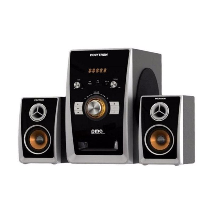 POLYTRON PMA 9501 Audio Speaker Portabel with Bluetooth