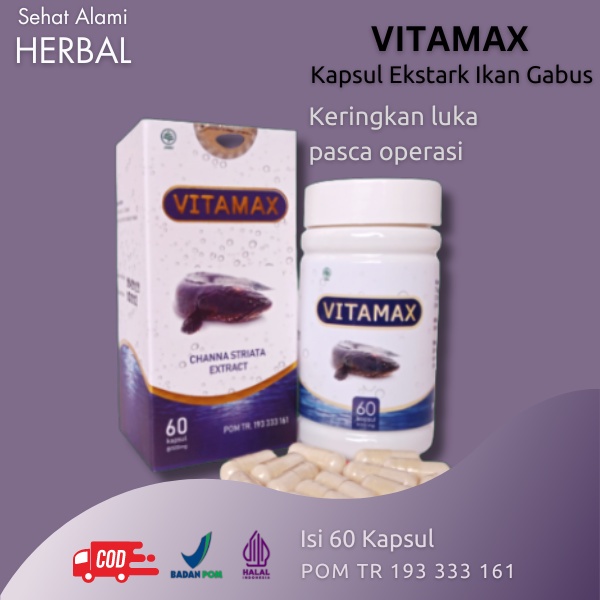 Vitamax Kapsul Original Obat Herbal Pengering Luka Diabetes Ekstrak Ikan Gabus