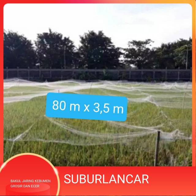 JARING BURUNG LUBANG 1 JARI JARING PENGAMAN PADI DI SAWAH JARING IKAN