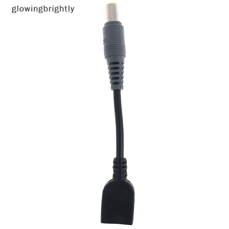 [glowingbrightly] Steker USB Persegi DC Female To 7.9x5.5mm Male Power Adapter Converter Kabel Kabel TFX