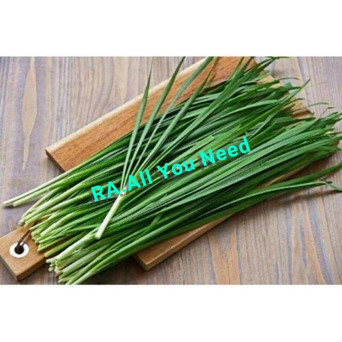 

Daun Kucai 100 Gram