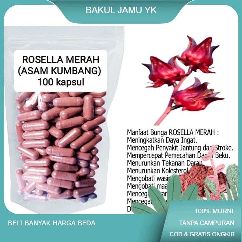 

ROSELLA MERAH ISI 100 KAPSUL untuk menurunkan tekanan darah wasir