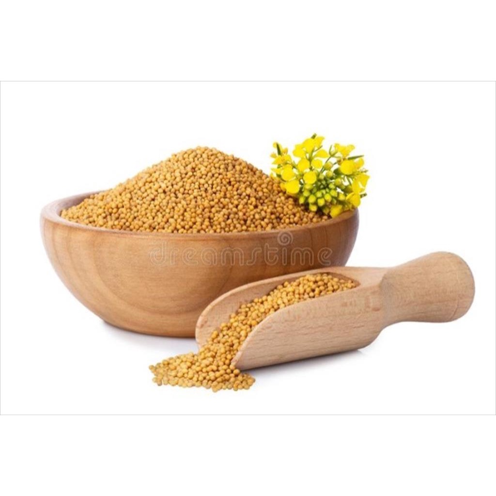 Yellow Mustard Seed 100 Gr Biji Sawi Moster Seeds Grade A Premium