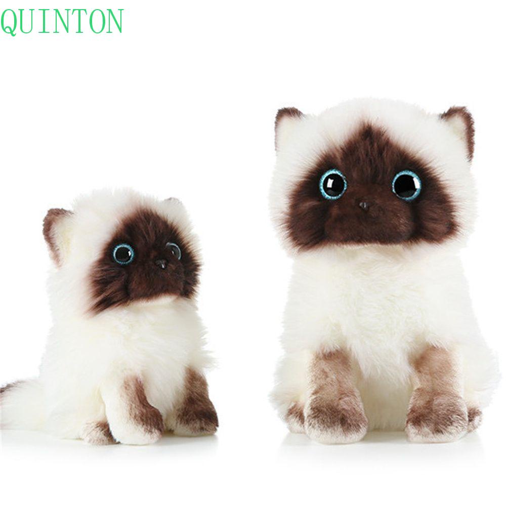 Quinton Cat Plush Toy Mainan Anak Dekorasi Rumah 20/26CM Sequin Mata Coklat Dan Putih Kucing Siam Boneka Binatang