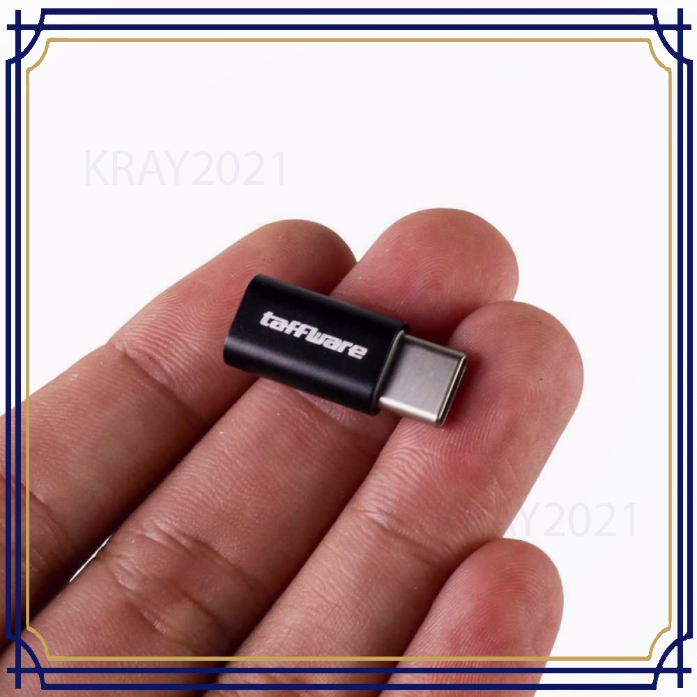 Adaptor Konverter Micro USB ke USB 3.1 Type C -AP173