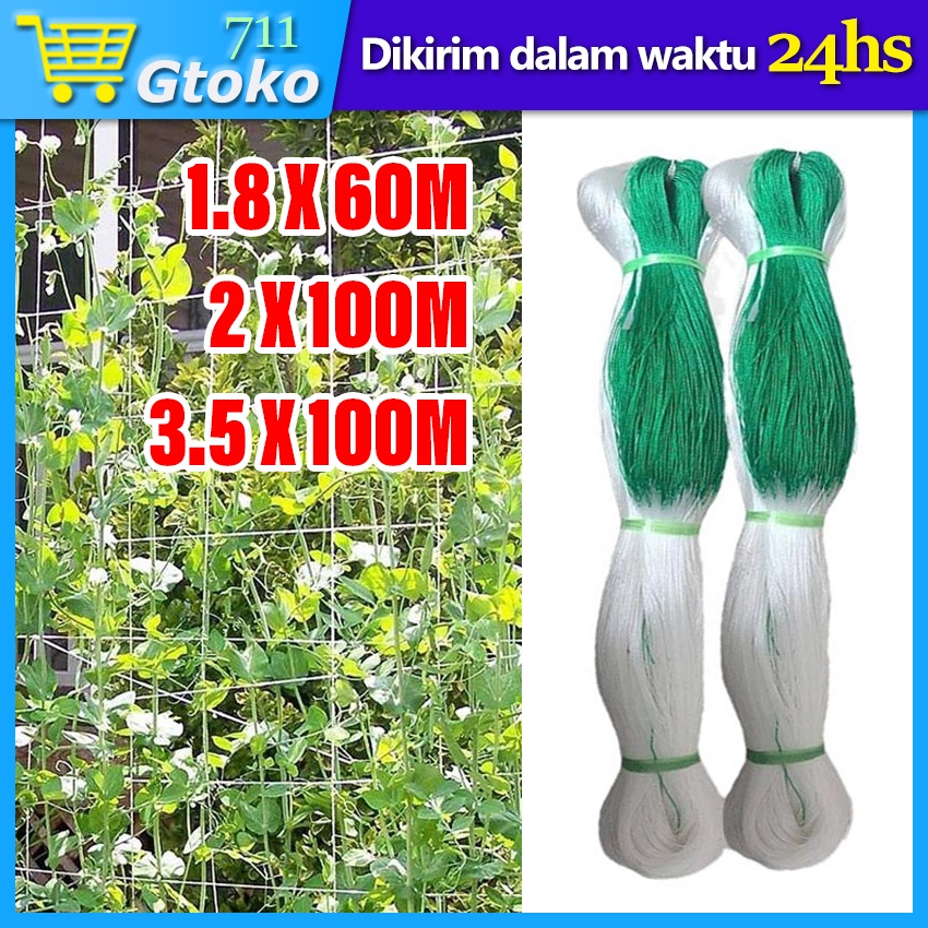 Jaring Rambatan Tanaman Plant Climbing Net Jaring Tanaman Merambat