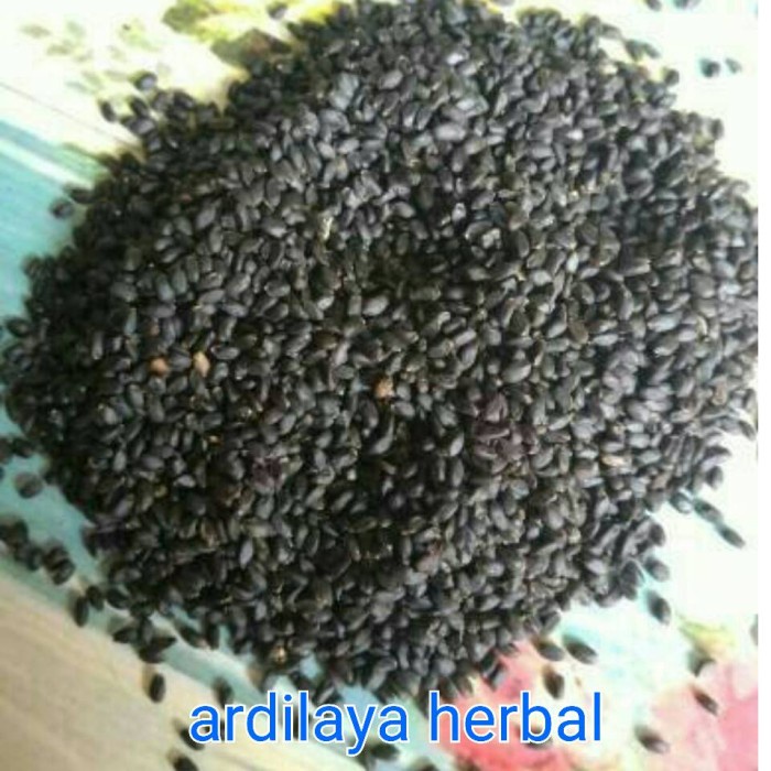 

biji selasih/selasih 250 gr 100% ASLI