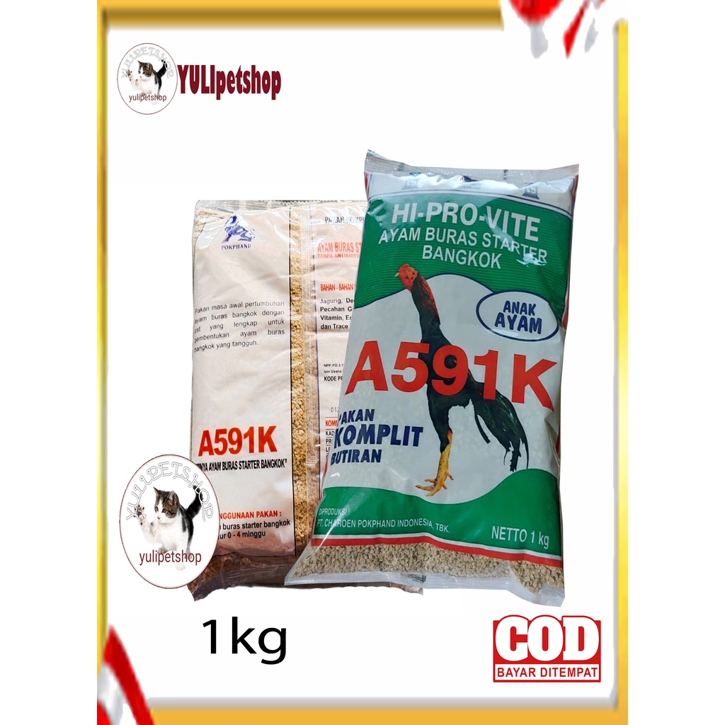 PUR AYAM 591 UNTUK ANAKAN AYAM BANGKOK
