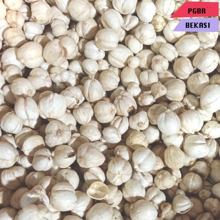 

Kapulaga Putih Kapolaga Puith Super 10 gram