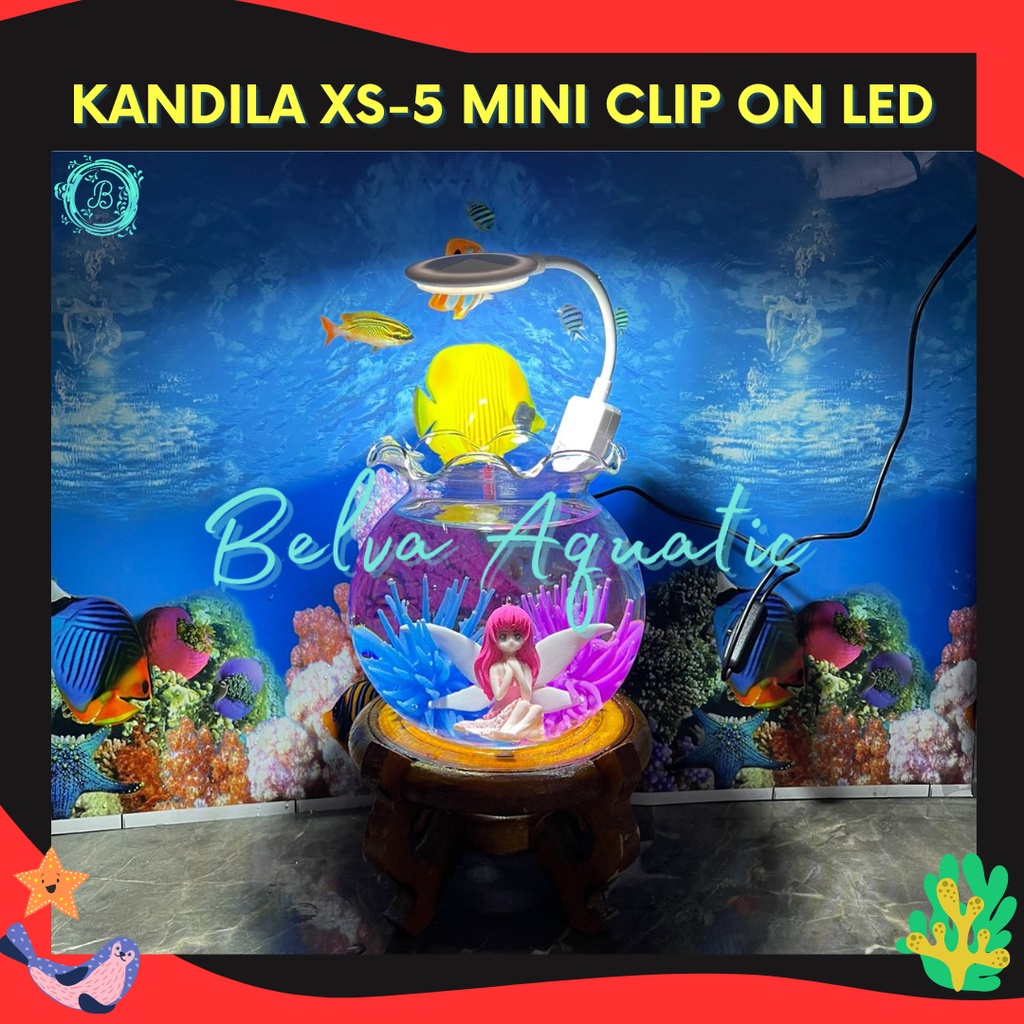 Kandila XS 5 Led Mini Clip Lampu Mini Jepit Kecil Aquarium Lampu Toples Aquarium