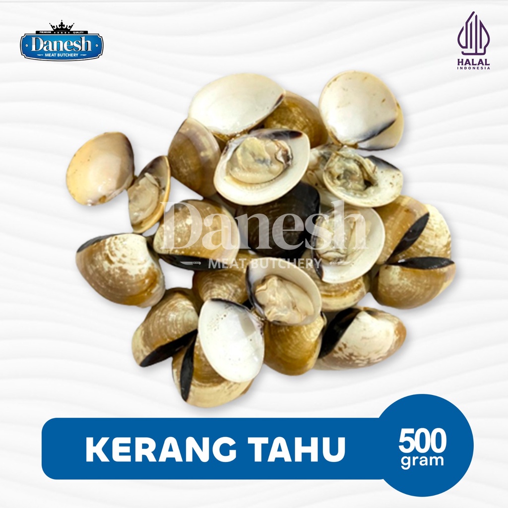 Kerang Tahu 500gr Fresh Frozen Food