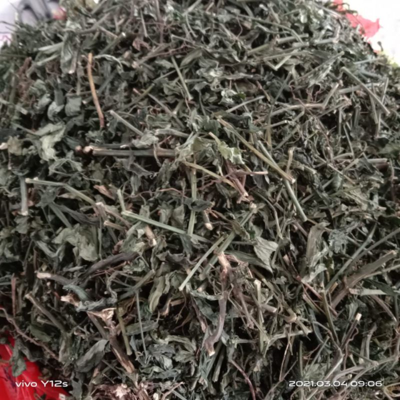 

DAUN SAMBILOTO KERING 1 KG Organik Tanaman Herbal Nusantara Free Stiker PIRT Random