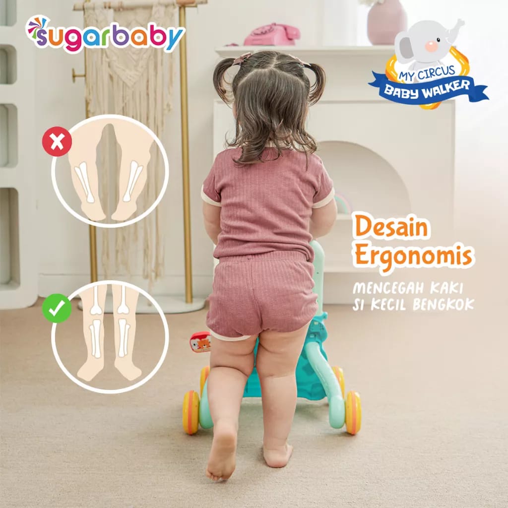 Sugar Baby My Circus Push Walker | Baby Walker