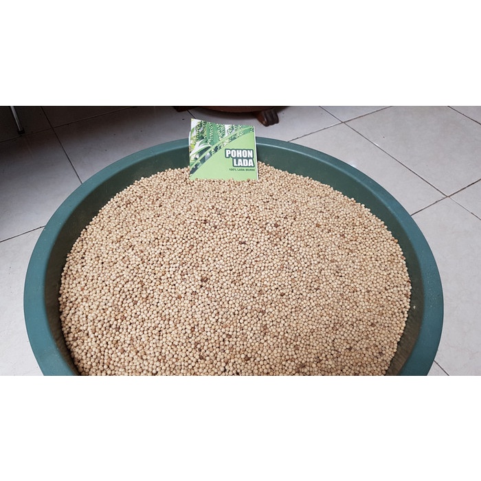 

✨Ready Stok✨ - Lada Putih Bangka Premium Bangka 1kg Butiran- 1.2.23