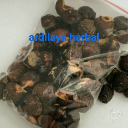 

lerak/buah lerak 500 gram 100% ASLI