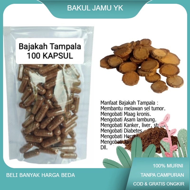 

Akar Bajakah Tampala isi 100 kapsul untuk tumor kanker